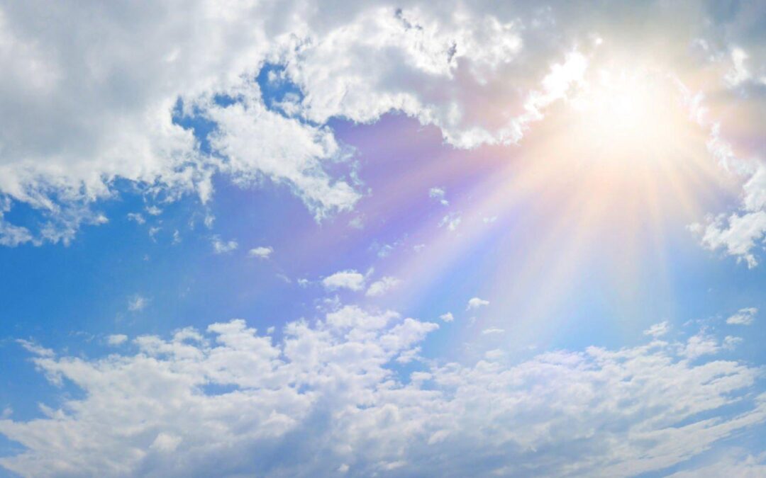 FLIGHT OF ANGELS OR FIGHT OF HUMANS?