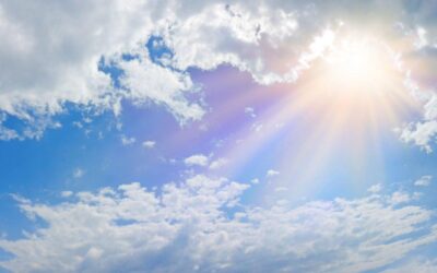 FLIGHT OF ANGELS OR FIGHT OF HUMANS?