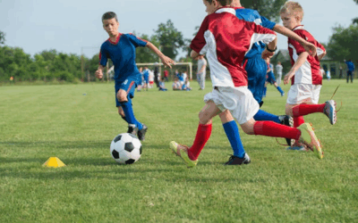 School of Sport: Game set and match.