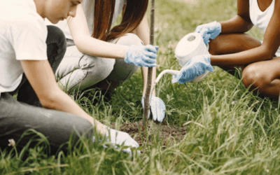 Doing the right thing right