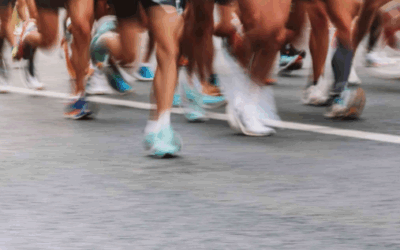 SCHOOL OF SPORT: THE LONG RUN