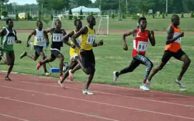 ON THE TRACK OFF THE TRACK