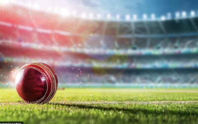 Crack it with Cricket