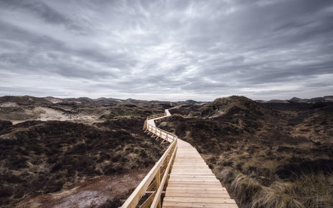 Avoiding the Cesspit