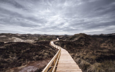 Avoiding the Cesspit