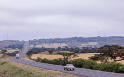 Who is on Trial here?