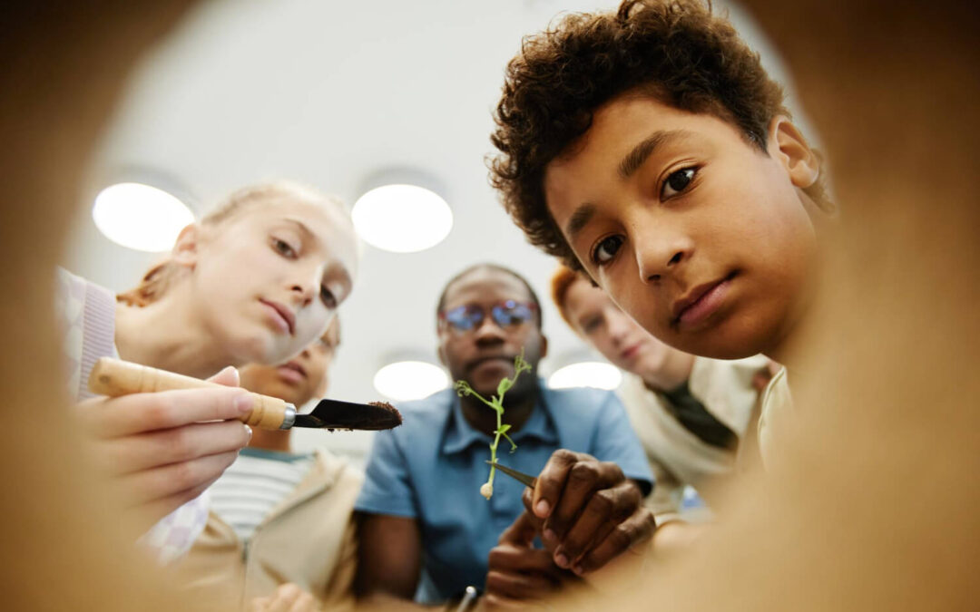 Unhinged  Education